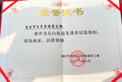 百年集團黨支部回報社會，努力踐行社會責任與