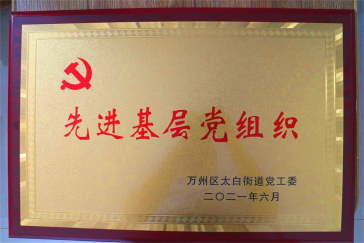 集團(tuán)黨支部回報(bào)社會(huì)，努力踐行社會(huì)責(zé)任與擔(dān)當(dāng)